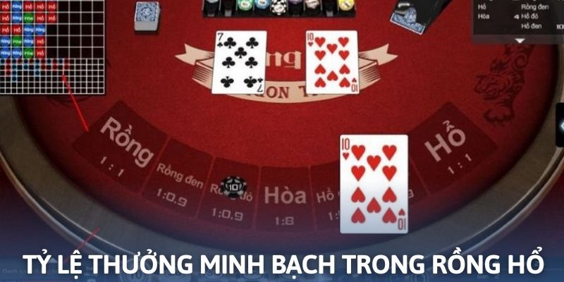 Rồng hổ áp dụng quy định thanh toán hấp dẫn và rõ ràng