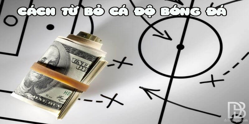 Tổng Hợp Những Cách Từ Bỏ Cá Độ Bóng Đá Mang Hiệu Quả Nhất