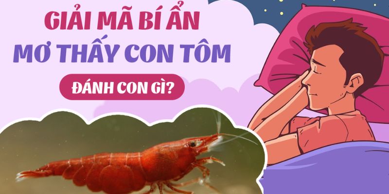 Con số may mắn khi mơ bắt tôm