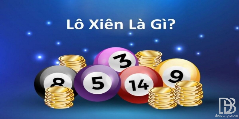 Bí Kíp Bắt Lô Xiên Chuẩn Như Cao Thủ Không Phải Ai Cũng Biết
