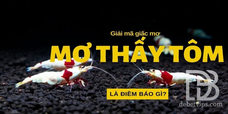 mơ bắt tôm