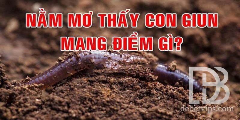 mơ thấy giun
